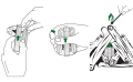 instrukcja-survival.png