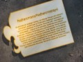 343718502_982945093045998_7333915119575507099_n.jpg