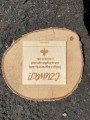 e6318699-7acd-4e8d-8172-53837161cbe8.jpg