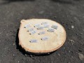 pins4.jpg