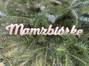 Mam zbiórkę - napis 