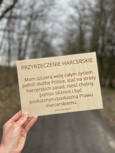2eb0ca60-7272-4a2b-9cb9-cb6df751ee16.jpg