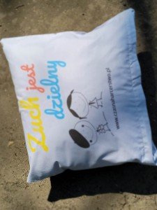 PODUSZKA PODUCHA ZUCH JEST DZIELNY KOLOR 