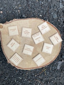 Gawęda/memory o Druhu Wicku