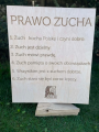 Prawo zucha (1).png