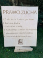 Prawo zucha.png