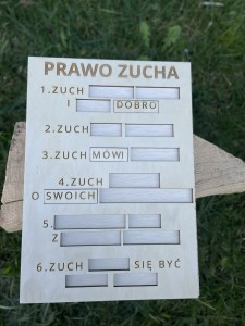 Układanka/dopasowywanka Prawo Zucha
