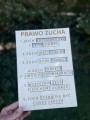 48680d59-146c-4c5e-bdf0-1ffa82ceade2.jpeg