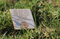 IMG_4554.jpg