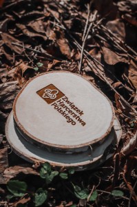 Plaster z drewna z logo ZHP